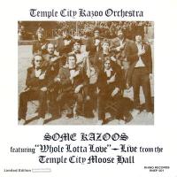 Виниловая пластинка TEMPLE CIY KAZOO ORCHESTRA / SOME KAZOOS (2LP)